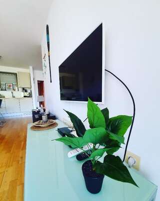 Апартаменты Charming apartment near beach Свети-Стефан Апартаменты с 1 спальней-69